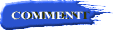 COMMENT 