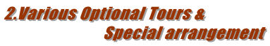 2.Various Optional Tours &                             Special arrangement