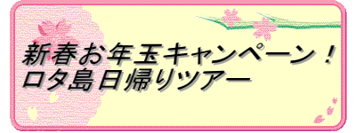 新春お年玉キャンペーン！ ロタ島日帰りツアー 