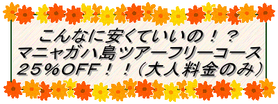 こんなに安くていいの！？ マニャガハ島ツアーフリーコース ２５％ＯＦＦ！！（大人料金のみ）